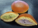 生どら焼き